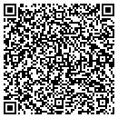 QR code with Professional Nerds contacts