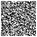 QR code with Protoplanetary contacts