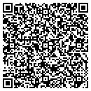 QR code with Professional Services contacts