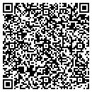 QR code with Psychic Corner contacts