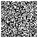 QR code with Cumulus Technologies contacts