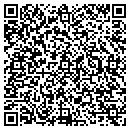 QR code with Cool Dog Interactive contacts