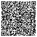 QR code with Dmsi contacts