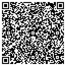 QR code with Cybersoft Solutions contacts