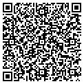 QR code with Dslnet contacts