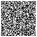 QR code with Cp S Chimney Service contacts