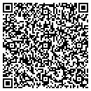 QR code with Princeton Online Inc contacts