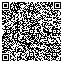 QR code with Bistock Construction contacts