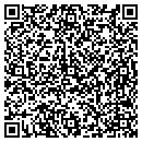 QR code with Premier Sweep Inc contacts