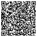 QR code with Bisnet contacts