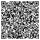 QR code with Cs Ii Chimney Service contacts