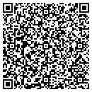QR code with Carnelian Software Inc contacts