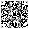 QR code with Ergops contacts