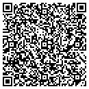 QR code with Professional Sweep CO contacts