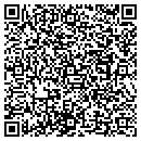 QR code with Csi Chimney Service contacts