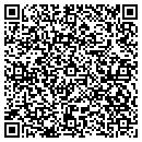 QR code with Pro View Systems Inc contacts