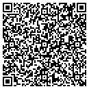 QR code with Carter Vr Corp contacts