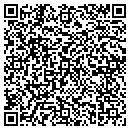 QR code with Pulsar Solutions LLC contacts