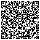 QR code with Pure Gig contacts