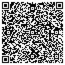 QR code with Cybervision Web LLC contacts