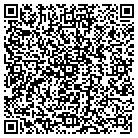 QR code with Spring Hill Chimney Service contacts