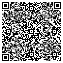 QR code with Capitol Audio Access contacts