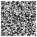 QR code with Carrier Consultants contacts