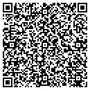 QR code with Courtesy Hyundai Inc contacts