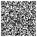 QR code with Code 3 Lawn Care LLC contacts