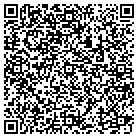 QR code with Blitwise Productions LLC contacts