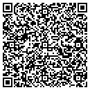 QR code with Pq Consulting Inc contacts