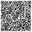 QR code with Public Domain Internet contacts
