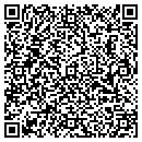 QR code with Pvloops LLC contacts