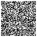 QR code with Prince Telecom Inc contacts