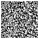 QR code with Catalyst Construction contacts
