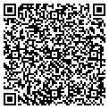 QR code with Lily contacts