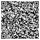 QR code with Professional Touch contacts