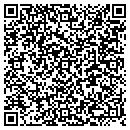 QR code with Cyqlr Software Inc contacts