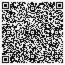 QR code with Carnival Events Inc contacts