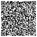 QR code with Baldwin Lake Stables contacts