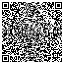 QR code with Promethean Solutions contacts