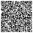 QR code with Consulting Group Inc contacts