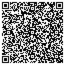 QR code with Corporatesurvey Com contacts
