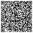 QR code with Bitclone Web Design contacts