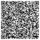 QR code with Pulsified Productions contacts