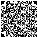 QR code with Premier Parties LLC contacts