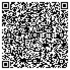 QR code with Professional Systems LLC contacts