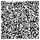 QR code with Public Access Studio contacts