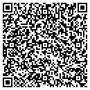 QR code with Pulaski Steel & Supply contacts