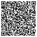 QR code with V Tech contacts